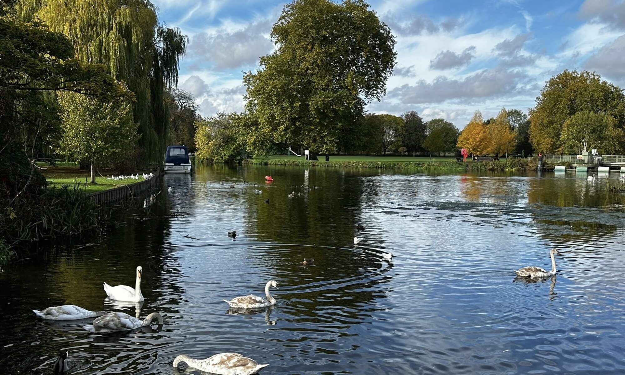 Godmanchester Community Association